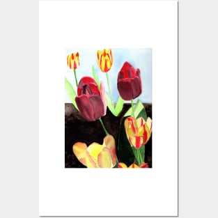 Tulips Fine Art Watercolor Painting Posters and Art